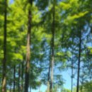 자연생태어린이집 이미지