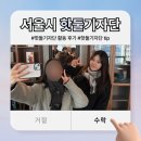 [핫둘기자단] 핫둘기자단 활동 정리 zip, 예비 7기 기자단들에게 꿀팁까지