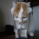 업프로짐 이미지