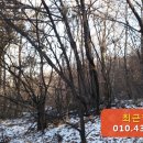 내곡동412 이미지