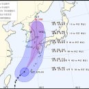 고니고니 이미지