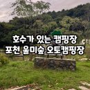 포천제일오토카센타 | 포천 신생 오토 캠핑장 울미숲 캠핑장 벚나무존 C15 사이트