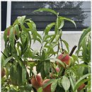 뮤즈 펜션 이미지