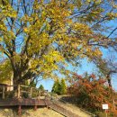 구상목장 이미지