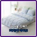 원이불 | 환절기 꿀잠 보장! 알러지케어 먼지없는 차렵이불, 3만원대 가성비 끝판왕 후기