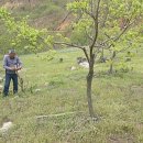 대경농장2 이미지