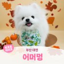 어머멍 이미지