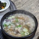 왕소갈비 | 춘천 후평동 날씨 쌀쌀할때 먹기 좋은 갈비탕 맛집 왕소갈비 (내돈내산, 솔직후기)