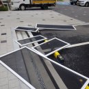 수목원풍경그린 이미지