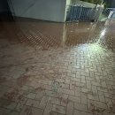 네일사십오(nail45) | 저번주 일을 내가 어 떻 게 기억하냐고