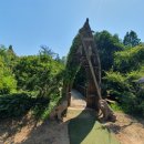 애견샵 어린왕자 이미지