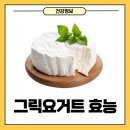 꿈에 그릭 이미지