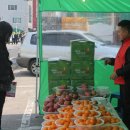 국가대표과일촌