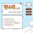 포메 분양 포메라니안분양 세이블포메분양 화이트포메분양 크림포메분양 파티포메분양 블랙탄포메분양 블루멀포메분양 도베르만분양 코카분양 이미지