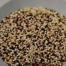 대안고기마을 이미지