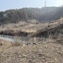 신월2리 전국매일신문