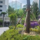 평촌1경로당 이미지