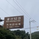 운문령 | 영남알프스 블랙야크 100대 명산 가지산 난이도 “하”코스 (운문령-가지산-운문령)후기