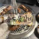 송도등갈비 | [인천 송도] 송도등갈비 내돈내산 등갈비맛집 후기!