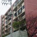 개나리아파트 뉴스1