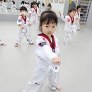 성황태권도장 이미지