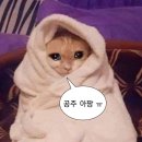 윌수학학원 | 조금덜바빠진학교와사는이야기