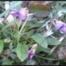 진성건설(주) 이미지