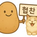 마시꼬 이미지