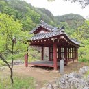 연주펜션 | 자연이 주는 선물 같은 곳, 정선펜션 하늘나리펜션