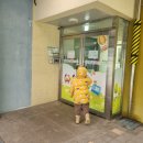 아라초등학교 병설유치원 이미지