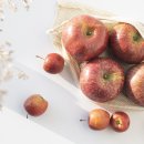 평촌우리병원 이미지