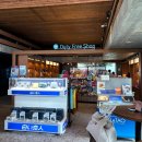 MARIN카 | 미야코지마 엑티비티(스킨스쿠버, 다이빙 체험 후기) 이라베지마 마린센터 /유키시오 뮤지엄 / 시모지시...