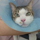 고남슈퍼 이미지