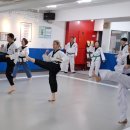 청우태권도장 서울본관 이미지