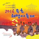 해맞이축제 이미지