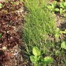 그로아펜션 이미지