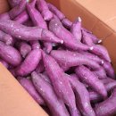 해남 무농약 황토 밤고구마&amp;해남 밤단호박!!! 이미지