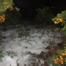 메이플해피하우스 이미지