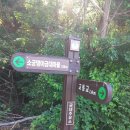 금대주유소 이미지