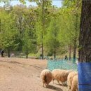 늘솔길공원화장실 이미지