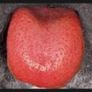 아산설치과의원 이미지