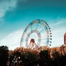 테마건강랜드 이미지