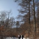 [m_04] 2009.02.08 태백설산산행 이미지