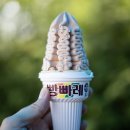 알누리