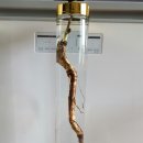 아랫도리 이미지