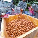 중앙유통농장 이미지