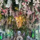 보문 달팽이 온천수 풀빌라 | 경주 보문허브키즈풀빌라사계절 미온수 무료?