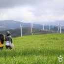 동막골 축산 이미지