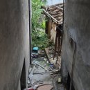 영동3차아파트 | 김관채 고양이탐정 후기/(강원도 강릉) 주택에서 탈출한지 4일 된, 손 안타는 올블랙 고양이 구조