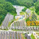 현내리 태양광발전소 이미지